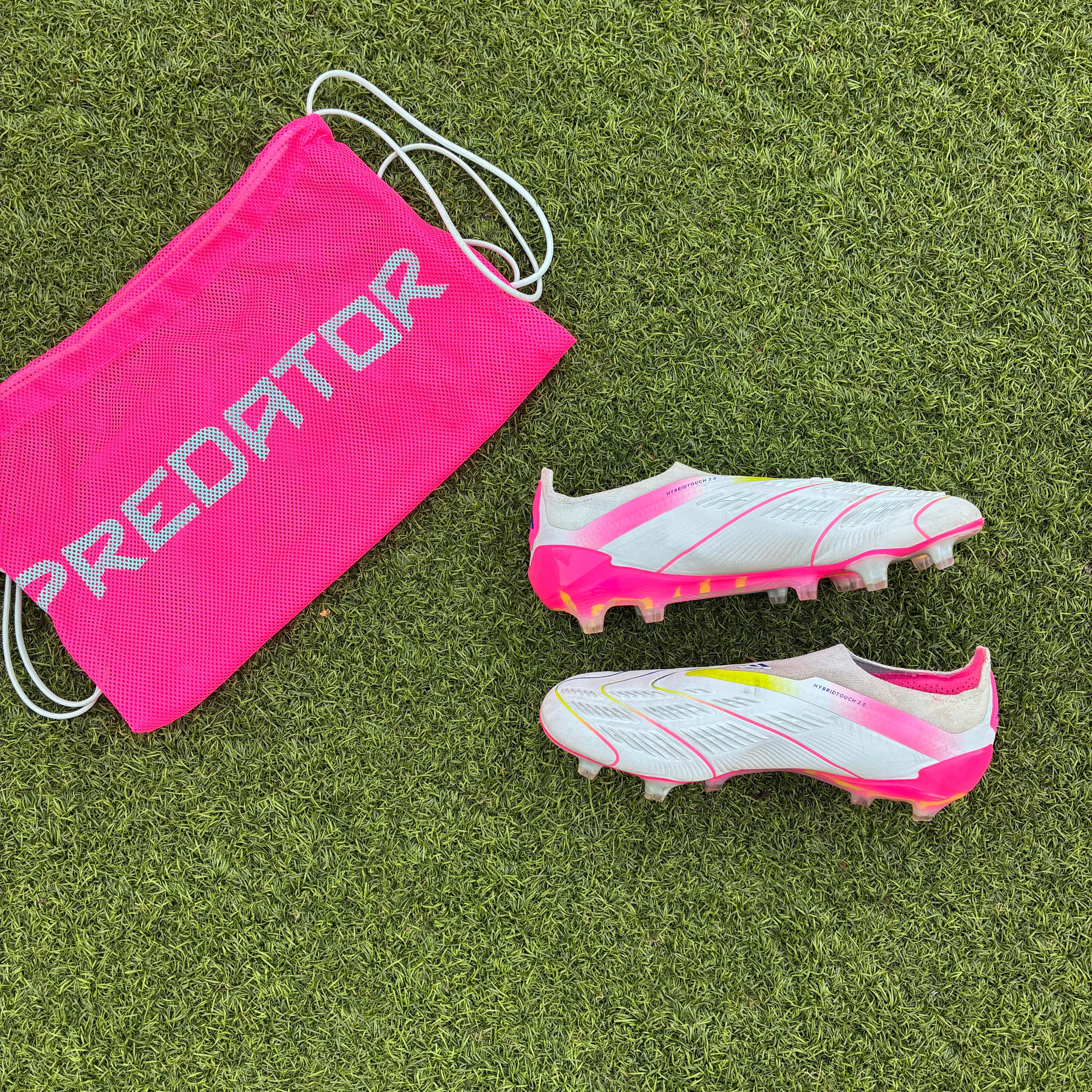 ADIDAS PREDATOR ELITE LACELESS FG STELLAR ICON (taille 40)