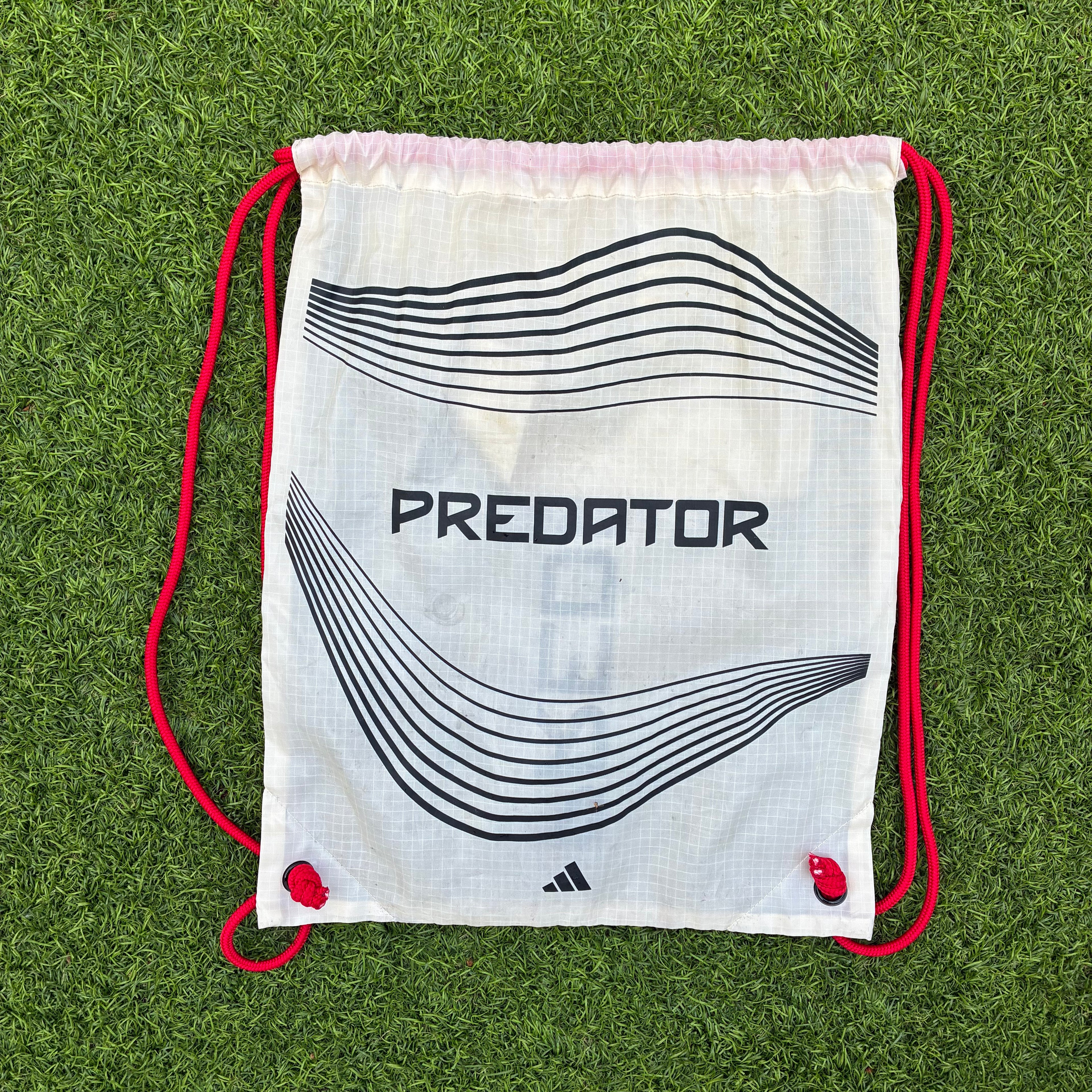 ADIDAS PREDATOR ELITE LACELESS AG CHAMPAGNE (taille 41.5)
